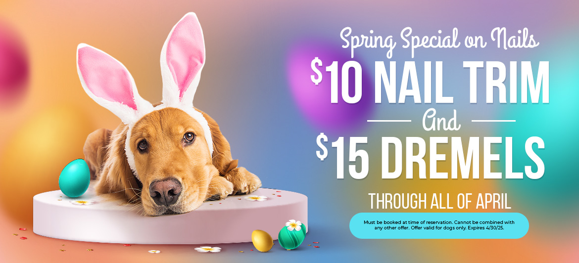 PAW-APRIL-SPRING-NAILS-WB-01