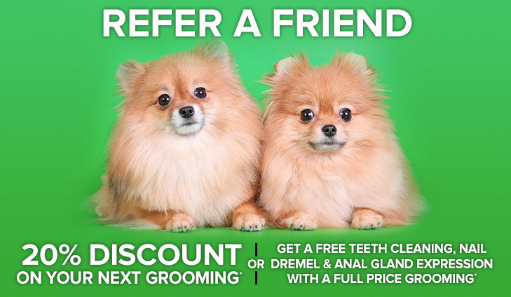 Pet Grooming, Boarding Specials in Suwanee GA 30024 | The ...