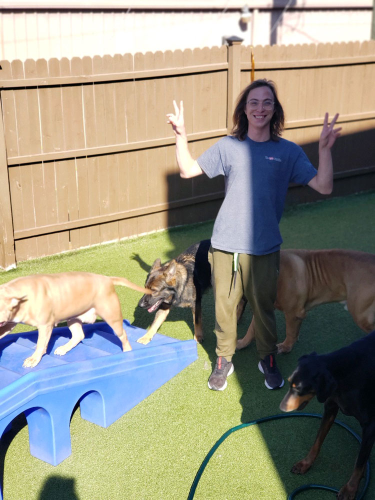 jesse the paw plex