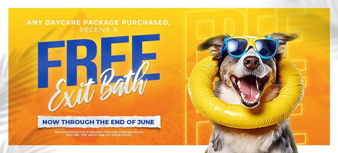 PAW-JUNE-EXIT-BATH-WB-01