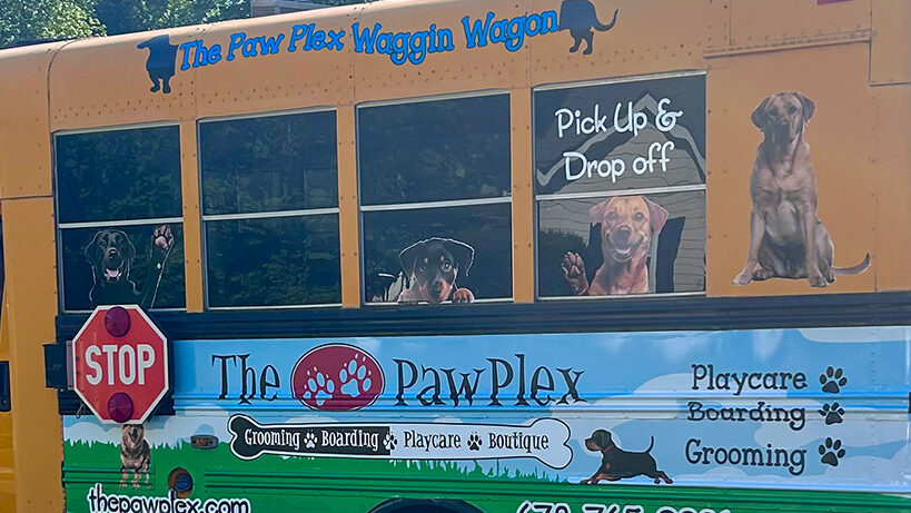 PawPlex Tail Waggin Transit pet transportation vehicle